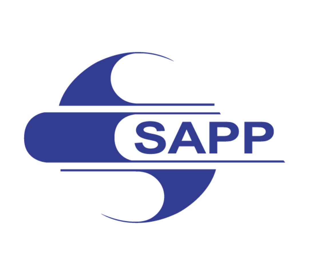 Kundenprojekte brandreact - SAPP Management AG